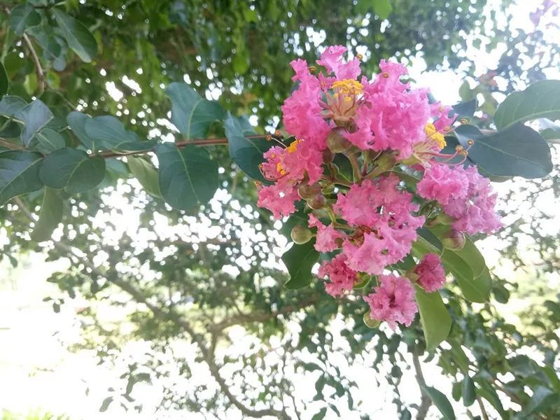 绿水青山，联翩而至，allbet2018云浮之旅